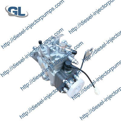 Buon prezzo Pompa Del Carburante Pompa Del Carburante Elettrica Universale 104642-7311 1046427311 VE4/12F1225RNP2139 12990451000 per YANMAR4TNE92