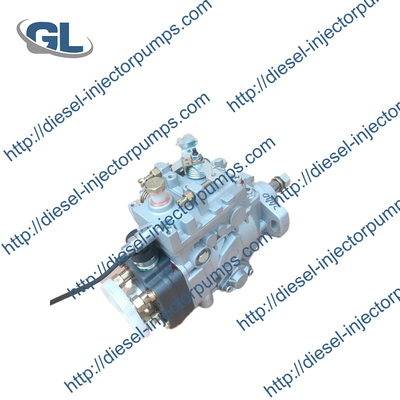 104646-5410 pompa Zexel dell'iniezione di carburante VE4/11F1100LNP2440 per Isuzu 4JG1