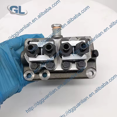 Cina Nuova testa pompa di iniezione di carburante 1J700-51011 104130-4010 F01G09Y02F compatibile con Kubota V2607