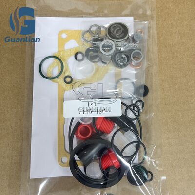 Nuovo kit di riparazione diesel di alta qualità 7135-126 Kit di guarnizione 31540 Kit di pompa iniettore 7135126