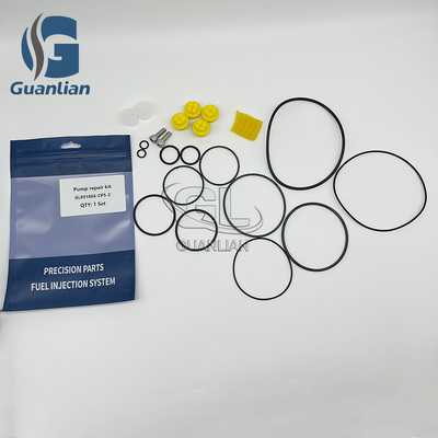 Kit di riparazione pompa carburante 891866-Cp5-2 per pompa Bosch Cp5 0445020126